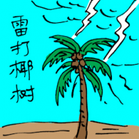 0111<br>雷打椰树<br>雷打椰樹<br>Lightning<br>Struck<br>Coconut<br>Tree