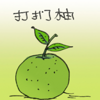 0168<br>打扪抽柚子<br>打捫抽柚子<br>Pomelo