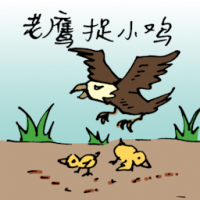 0176<br>老鹰抓小鸡<br>老鷹抓小雞<br>Eagle<br>Hunting