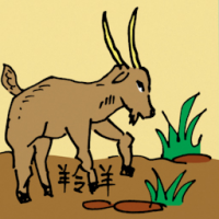 0518<br>羚羊<br>羚羊<br>Antelope