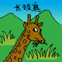 0519<br>长颈鹿<br>長頸鹿<br>Giraffe