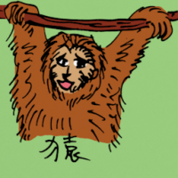 0520<br>猿<br>猿<br>Ape