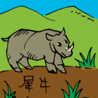 0521<br>犀牛<br>犀牛<br>Rhinoceros