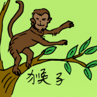 0538<br>猴子<br>猴子<br>Monkey