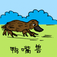 0554<br>鸭嘴兽<br>鴨嘴獸<br>Duckbilled<br>Platypus