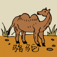 0564<br>双峰驼骆驼<br>雙峰駝駱駝<br>Camel