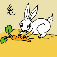 0569<br>兔子<br>兔子<br>Rabbit