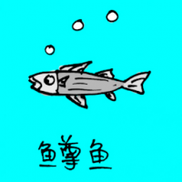 0702<br>鳟鱼<br>鱒魚<br>Trouts