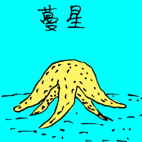 0713<br>蔓星<br>蔓星<br>Starfish