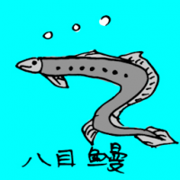 0714<br>八目鳗<br>八目鰻<br>Lamprey