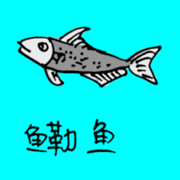 0715<br>鳓鱼<br>鳓魚<br>Shad<br>Fish