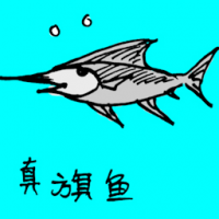 0716<br>真旗鱼<br>真旗魚<br>Sail<br>Fish