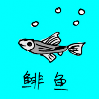 0717<br>鲱鱼<br>鯡魚<br>Herring