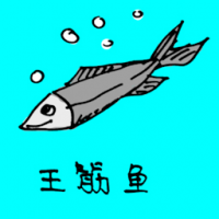 0719<br>王筋鱼<br>王筋魚<br>Yellowcheek<br>Carp