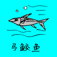 0728<br>马鲛鱼<br>馬鮫魚<br>Spanish<br>Mackerel