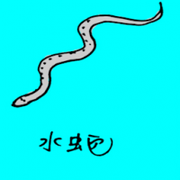 0730<br>水蛇<br>水蛇<br>Water<br>Snake