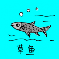 0741<br>草鱼<br>草魚<br>Grass<br>Carp