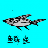 0747<br>鳞鱼<br>鱗魚<br>Capelin<br>Fish