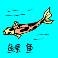 0748<br>鲤鱼<br>鯉魚<br>Carp