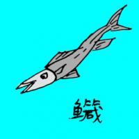 0753<br>鱵接吻鱼<br>鱵接吻魚<br>Dussumiers<br>Halfbeak