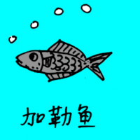 0761<br>加勒鱼<br>加勒魚<br>Caribbean<br>Fish