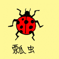 0766<br>瓢虫<br>瓢蟲<br>Ladybird