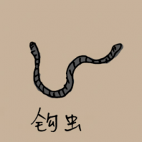 0767<br>蚯蚓钩虫<br>蚯蚓鉤蟲<br>Hookworm