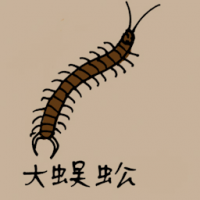 0768<br>大蜈蚣<br>大蜈蚣<br>Big<br>Centipede