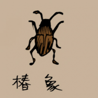 0770<br>椿象<br>椿象<br>Stink<br>Bugs