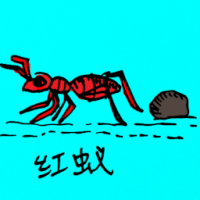 0771<br>红蚁<br>紅蟻<br>Red<br>Ants