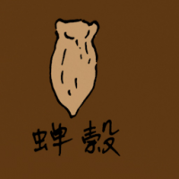 0776<br>蝉壳<br>蟬殼<br>Cicada<br>Chrysalis