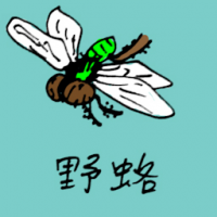 0785<br>野生苍蝇野蝇野各<br>野生蒼蠅野蠅野各<br>Wild<br>Flies