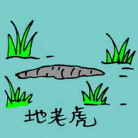 0786<br>地老虎<br>地老虎<br>Cutworms