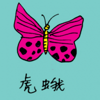 0787<br>虎蛾<br>虎蛾<br>Tiger<br>Moth