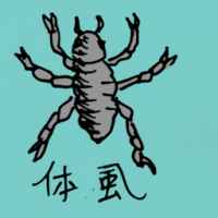 0791<br>体虱<br>體蝨<br>Head<br>Louse