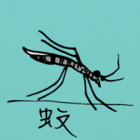 0793<br>蚊子<br>蚊子<br>Mosquito