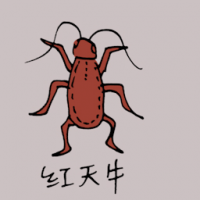 0796<br>红天牛<br>紅天牛<br>Red<br>Milkweed<br>Beetle