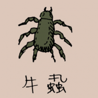 0798<br>牛虱牛跳蚤<br>牛蝨牛跳蚤<br>Cow<br>Flea