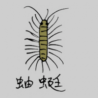 0805<br>蚰蜓<br>蚰蜓<br>House<br>Centipede