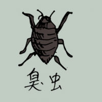 0806<br>臭虫<br>臭蟲<br>Bedbug