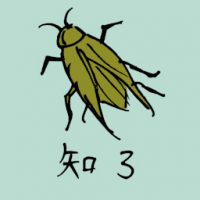 0808<br>知了<br>知了<br>Common<br>Cicada