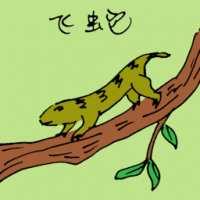 0811<br>飞蛇<br>飛蛇<br>Tree<br>Skink