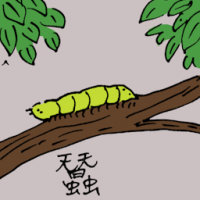 0812<br>蚕<br>蠶<br>Silkworm