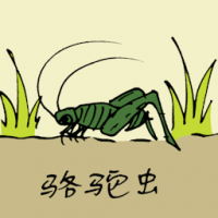 0819<br>骆驼虫<br>駱駝蟲<br>Snakefly