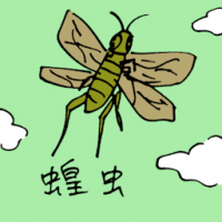 0820<br>蝗虫<br>蝗蟲<br>Locust