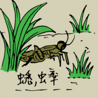 0826<br>蟋蟀<br>蟋蟀<br>Cricket