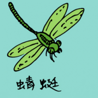 0832<br>蜻蜓<br>蜻蜓<br>Dragonfly