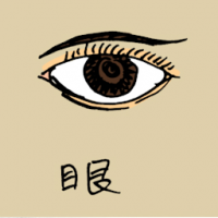 0833<br>眼<br>眼<br>Eye