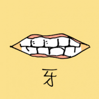 0834<br>牙<br>牙<br>Teeth