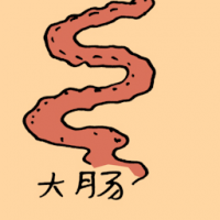 0866<br>大肠<br>大腸<br>Large<br>Intestine